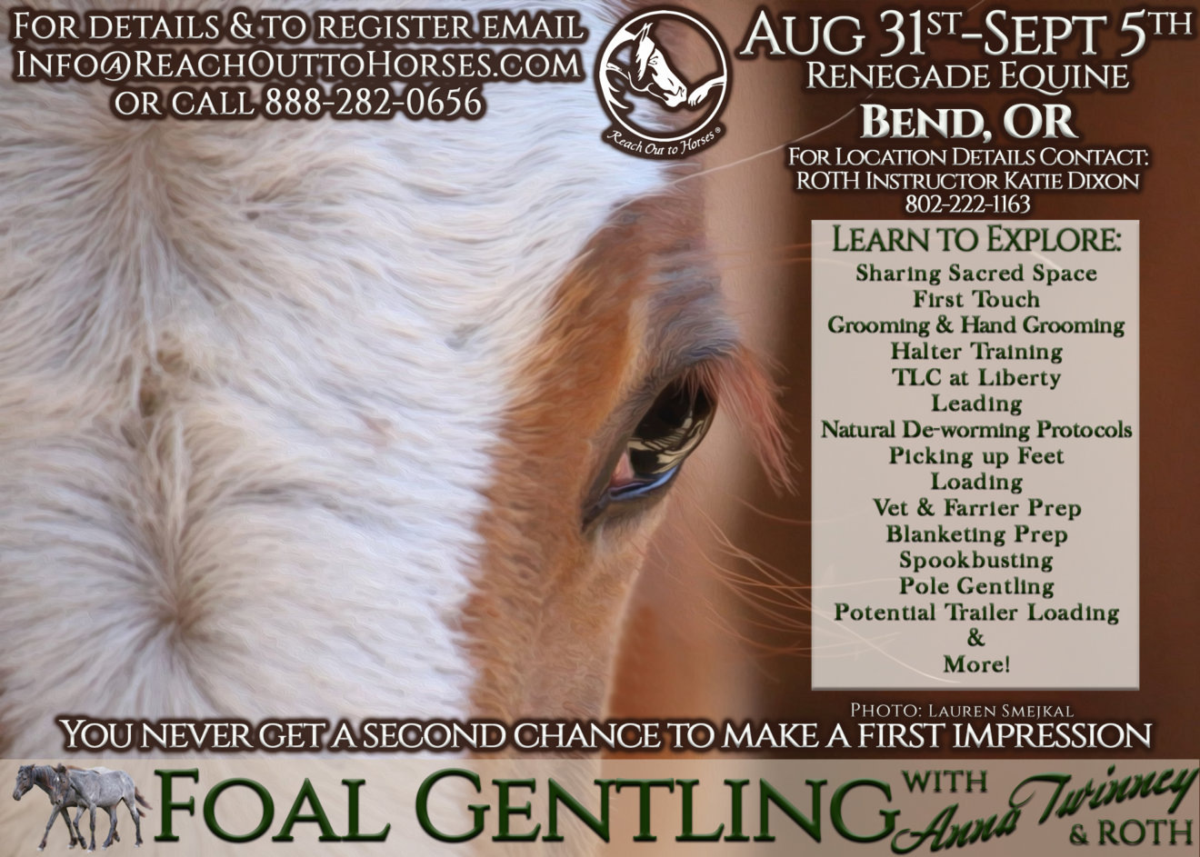Reach Out to Horses Wild Foal Gentling Course-  Only Auditing Available at this time