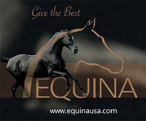 Equina_300x250_Banner