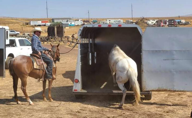 Try to Try vs. Try to Quit Part 2 - Teach Your Horse to Load in the Trailer Easily