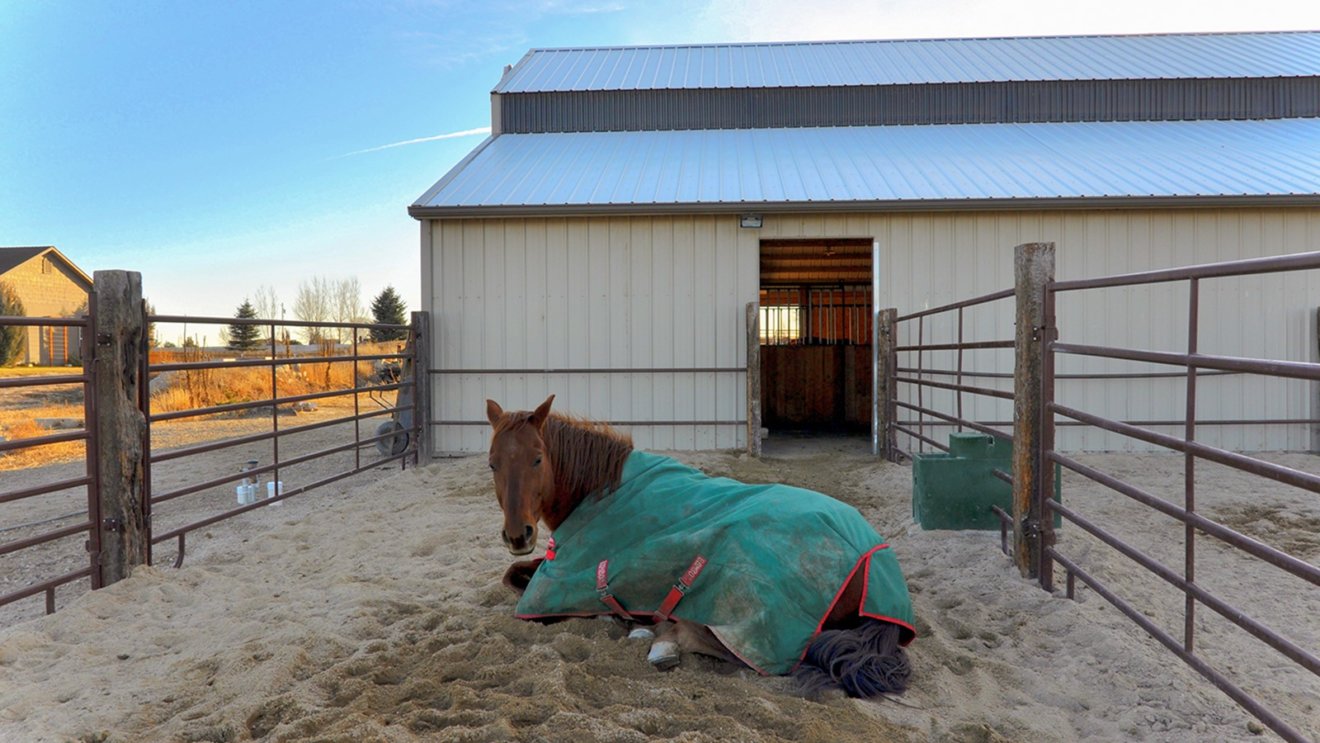 Hog Fuel, Gravel, or Sand?  Winter Footing Options for Equine Confinement Areas