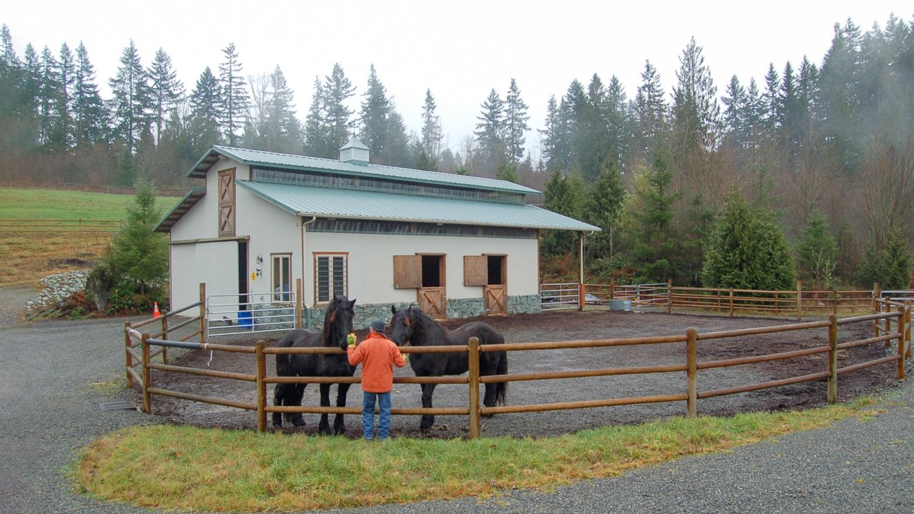 Fencing Considerations for Horse Properties - Focus on Safety, Appearance, Chore Efficiency, and Budget when Planning Fencing Projects