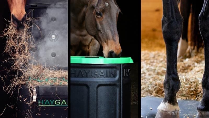 “Be Your Horses Hero” - Oregon veterinarian finds Haygain Way products valuable to holistic care and optimal health