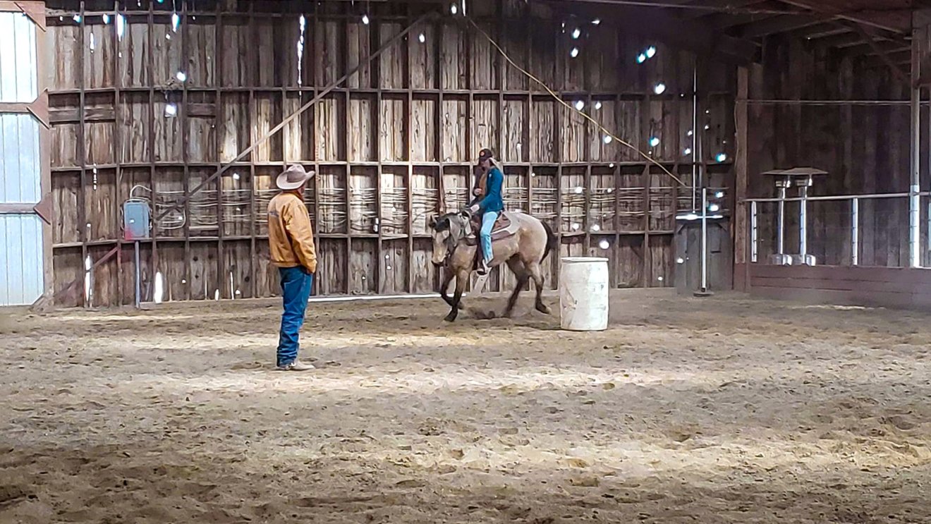 Travis Logan of Clear Cut Horsemanship - Creston, Washington Trainer Keeps it Simple while Giving Horses and Riders a Solid Foundation