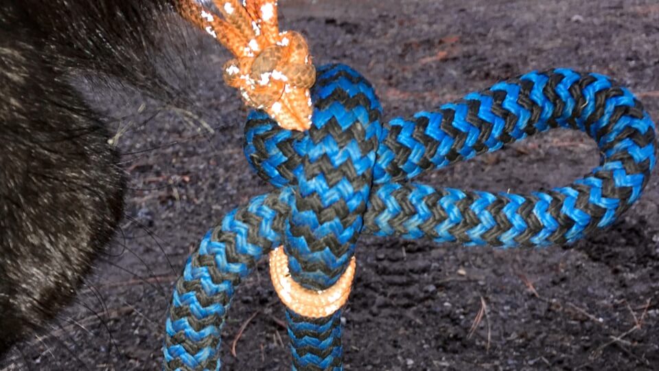 How to Attach a Lead Rope to a Halter - Six Options for Safety and Convenience