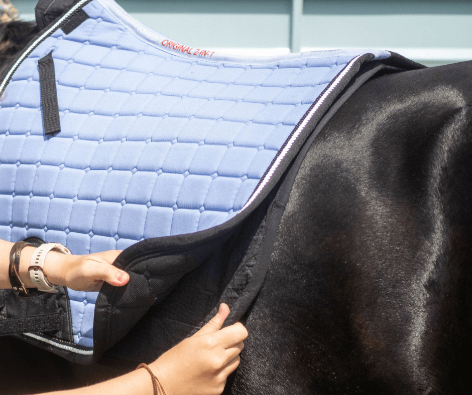 Iconic Equestrian Saddle Pad Features Removable Inner Liner