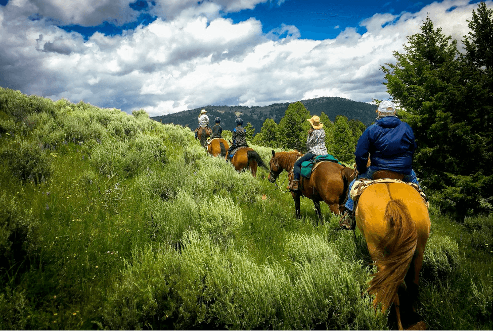 What Should I Pack for Horseback Riding on the Trail this Summer?