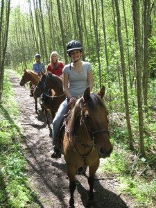 Consistency is an important trait of a good trail horse. Ride them more than once, in different situations, before purchasing. 