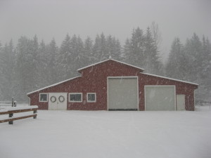 Barns make great shelter in winter, but horses need proper ventilation for good respiratory health.