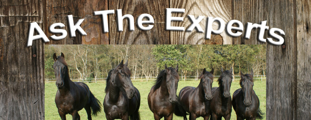 Ask The Experts Featured Conformation