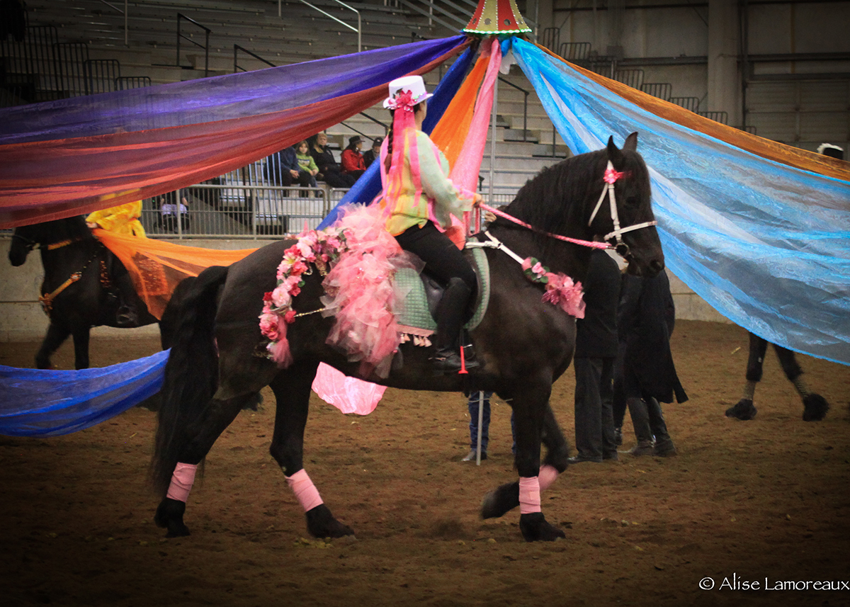 Northwest Horse Fair and Expo 2016 Celebrating the Spirit of the Horse