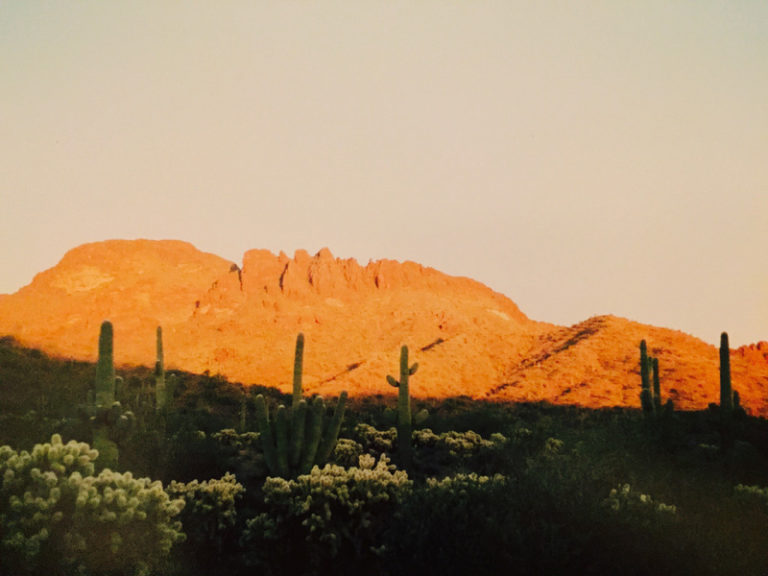 What the Horse? Escape Winter in Wickenburg, Arizona The Northwest Horse Source