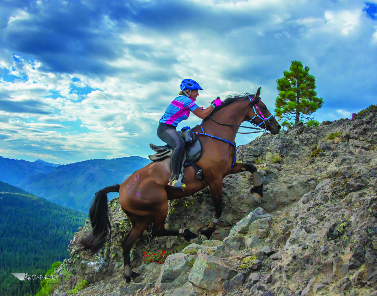 Is Endurance Riding For You The Northwest Horse Source