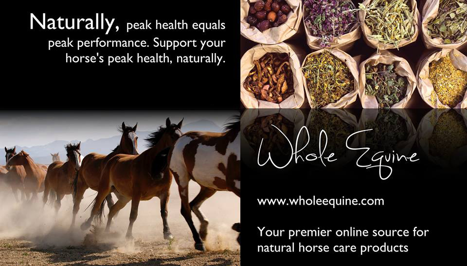 Whole Equine