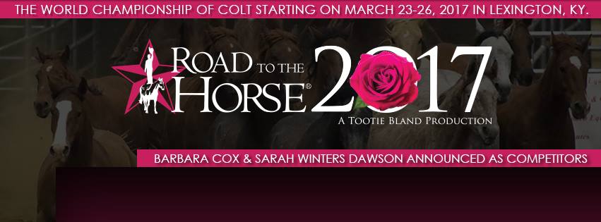 Road to the Horse 2017