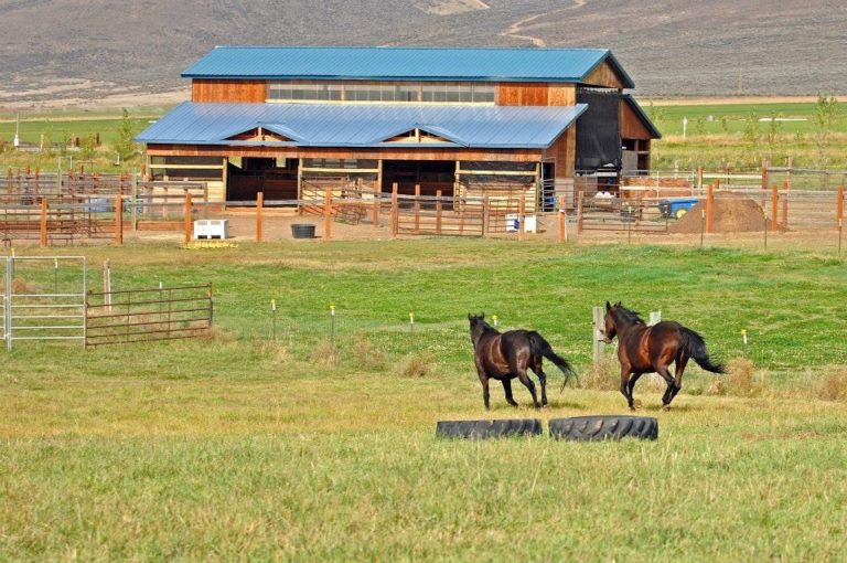 EvenSong Farm Equine Retirement listed on The Northwest Horse Source