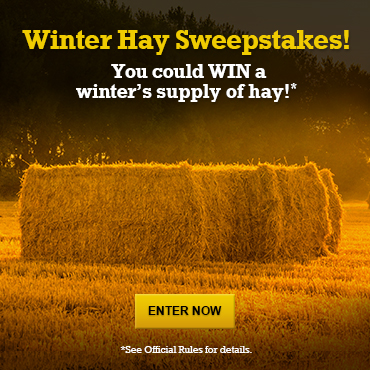 Winter Hay Sweepstakes