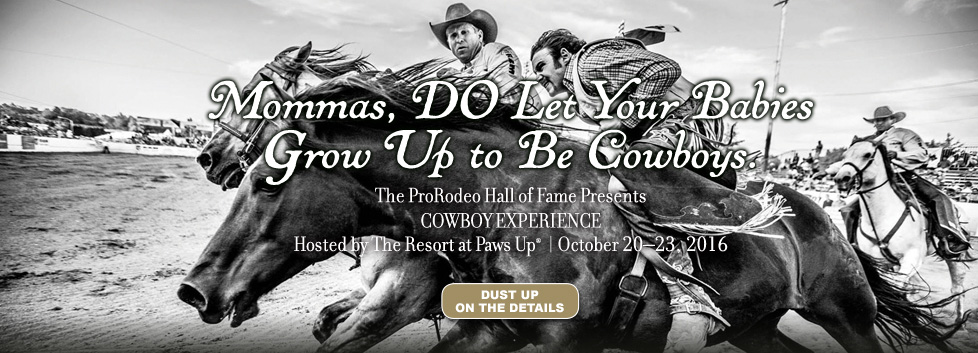 Cowboy Experience 2016 Image