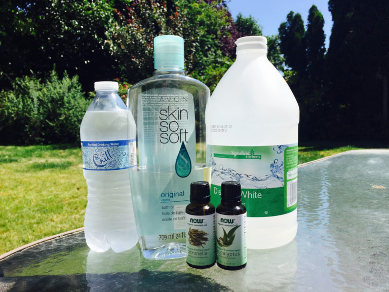 What The Horse? Fly Spray Homemade vs. Store Bought The Northwest