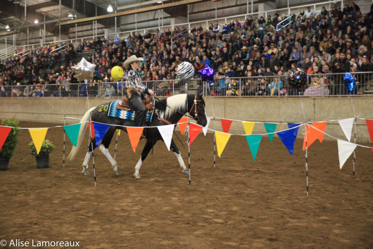 Thousands Enjoy Fun with Horses! Northwest Horse Fair & Expo 2017