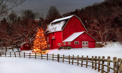 Holiday Barn Decor Ideas Archives Nw Horse Source