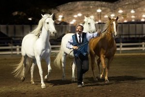 David Lichman and his Liberty Horses Headline Washington State Horse Expo