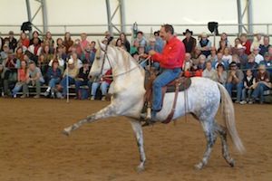 David Lichman and his Liberty Horses Headline Washington State Horse Expo