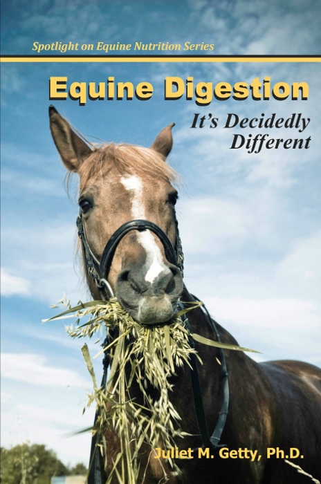 Equine Disgestion