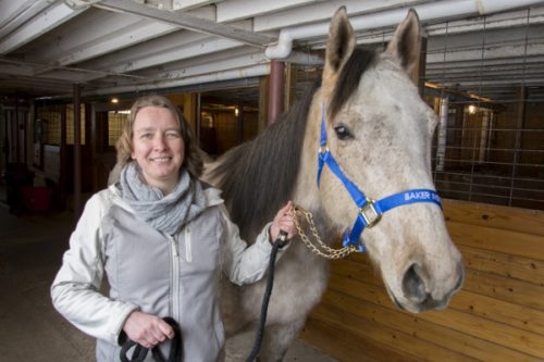 Equine Stem Cells Rein in Bacteria - News - The Northwest Horse Source