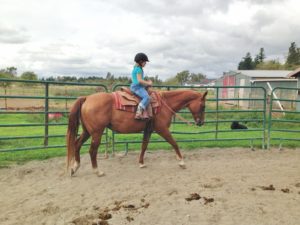 teaching horsemanship