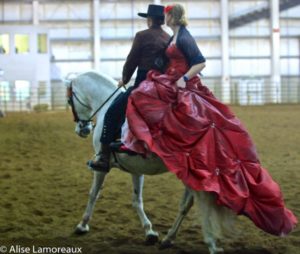 Northwest Horse Fair and Expo 2018