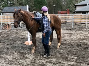 One Woman’s Process for Obtaining and Training Wild Mustangs