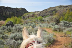 High Desert Trail Riding in Washington State by Robert Eversole