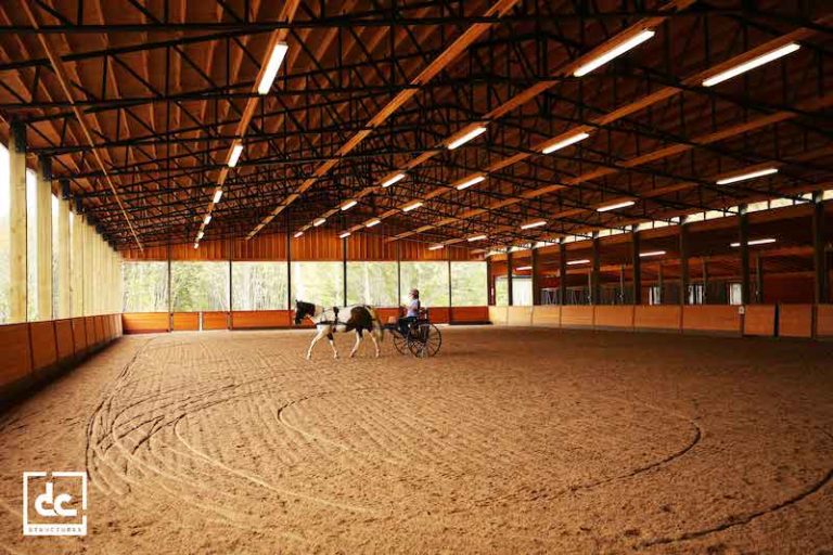 Easy on the Hooves The Importance of Arena Footing The Northwest