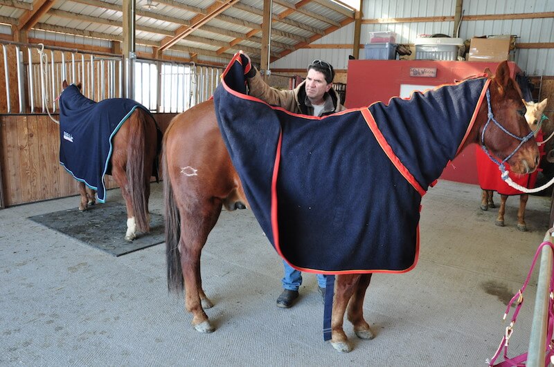 Keeping Your Horse Warm (and Cool) During the Winter The Northwest Horse Source