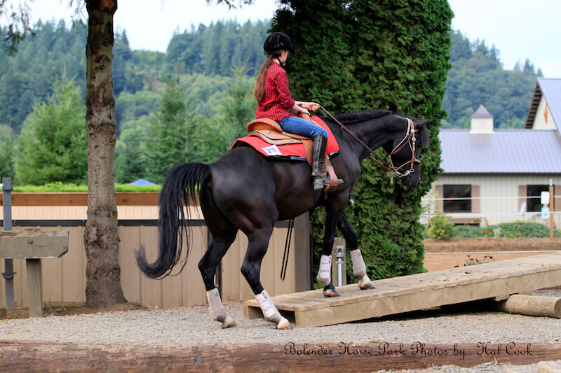 1013 TS The 180 Degree Turn on a TeeterTotter _MG_0993 The Northwest