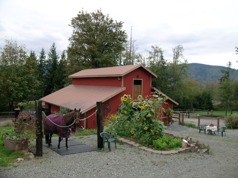 Build an Outdoor Wash Rack The Northwest Horse Source