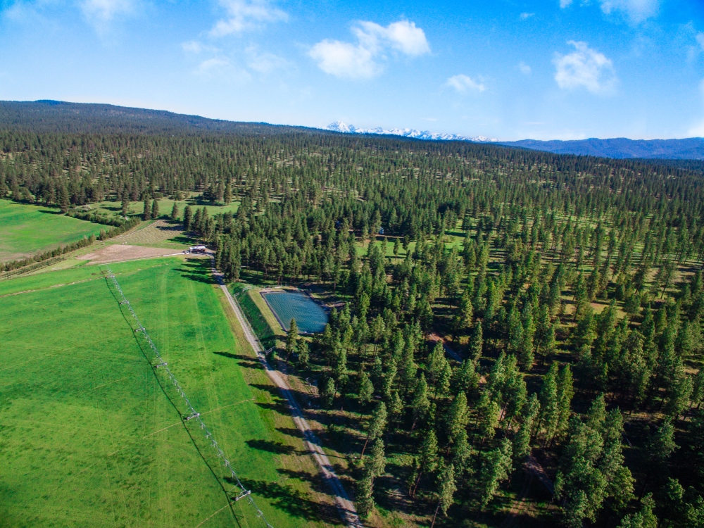 Flying M Ranch 1501 Masterson Road, Cle Elum, 98922 Real Estate
