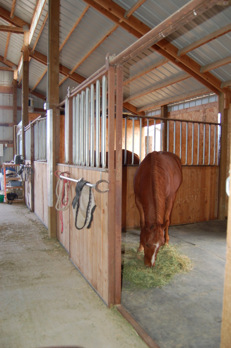 Installing Rubber Stall Mats - - The Northwest Horse Source