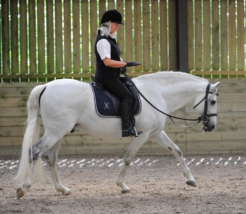 0413 TC Breathe Life into Your Riding PHOTO 413 Spend time connecting