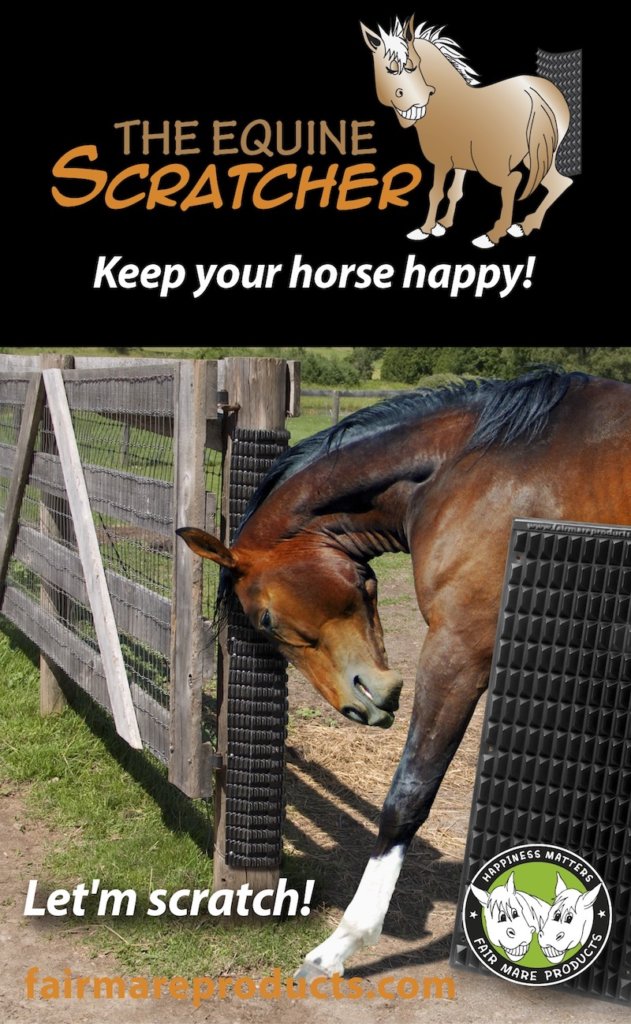 Promote Safe Scratching with The Equine Scratcher The Northwest
