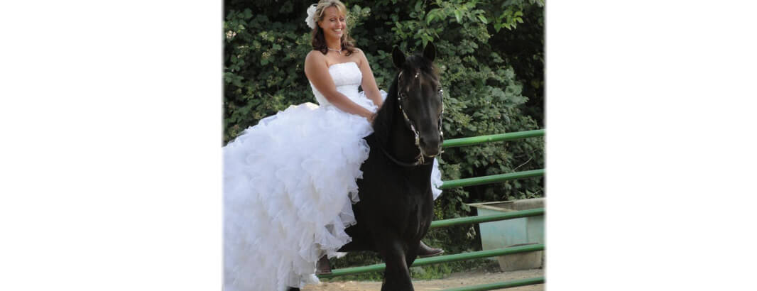 Horseback Wedding Dresses