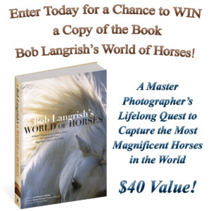 December Email Subscriber Drawing Sponsor Bob Langrish's World of Horses