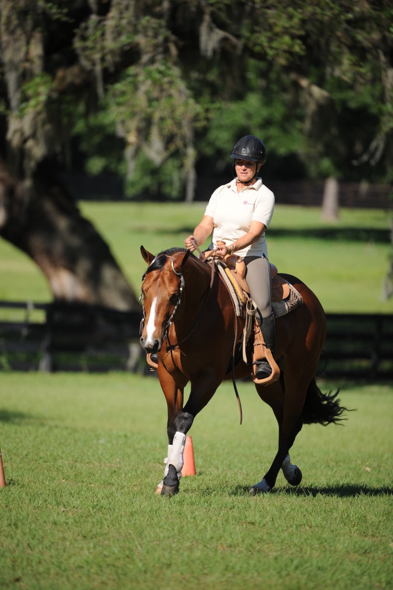 Trainer's Corner: How to Put Your Horse in Balance with Bending - Part ...