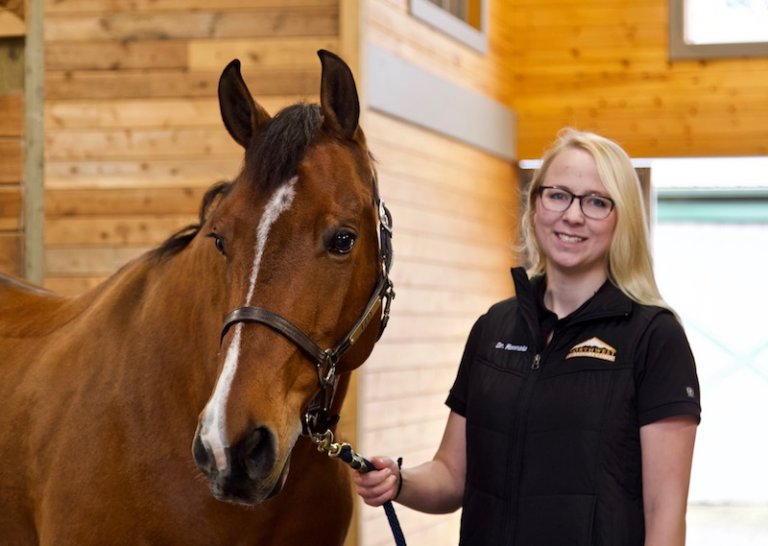 Breeding the Maiden Mare - - The Northwest Horse Source