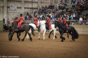 The Northwest Horse Fair and Expo will celebrate its Twentieth Anniversary