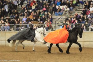 Northwest Horse Fair and Expo 2019