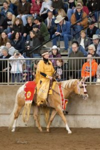 Northwest Horse Fair and Expo 2019