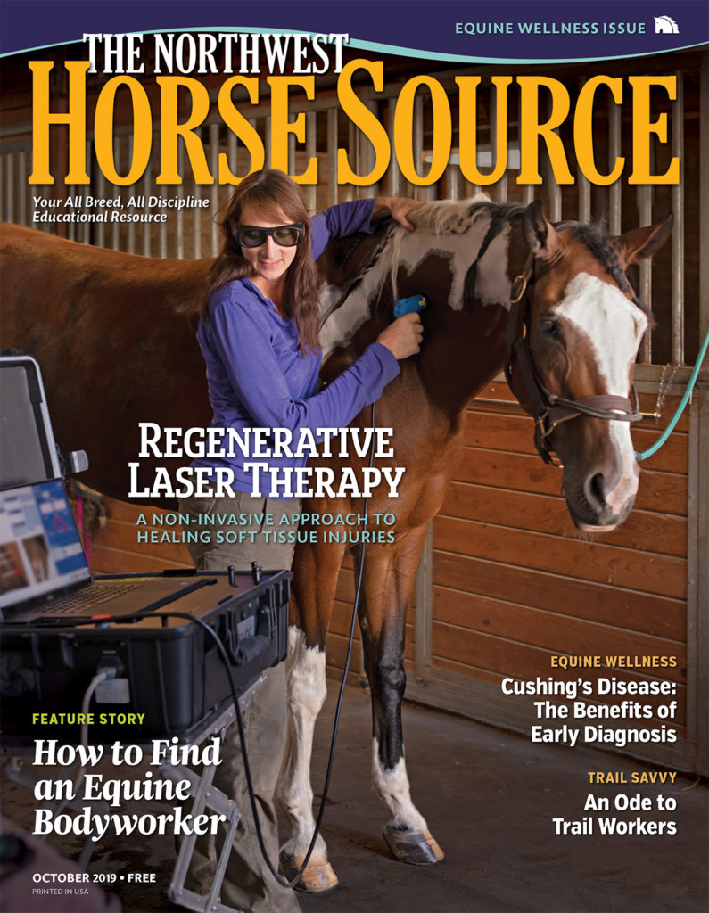 October 2019 Cover Story: Regenerative Laser Therapy - A Non-invasive Approach to Healing Soft Tissue Injuries