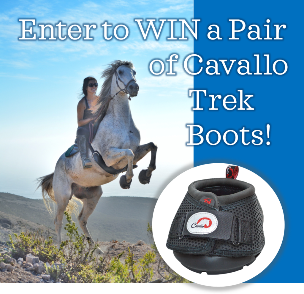 November Email Subscriber Drawing Sponsor - Cavallo Hoof Boots
