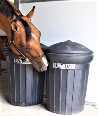 Online Exclusive: Storing Horse Feed